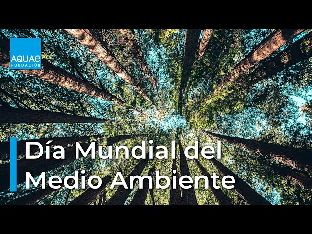 Día del Medio Ambiente en Free2z