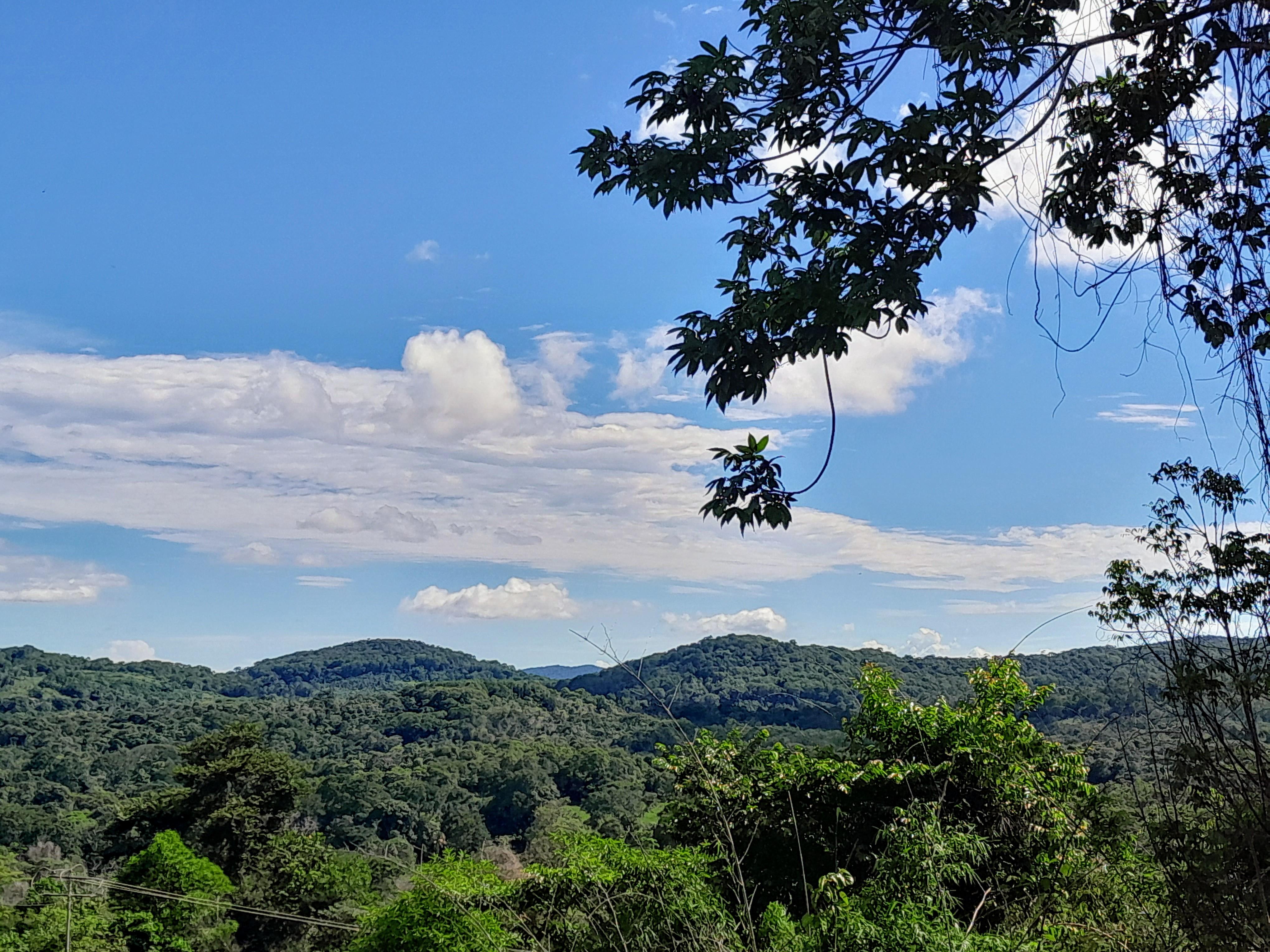 Un respiro de naturaleza en la tempestad.