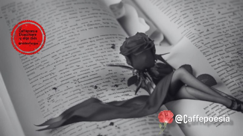 A libro abierto