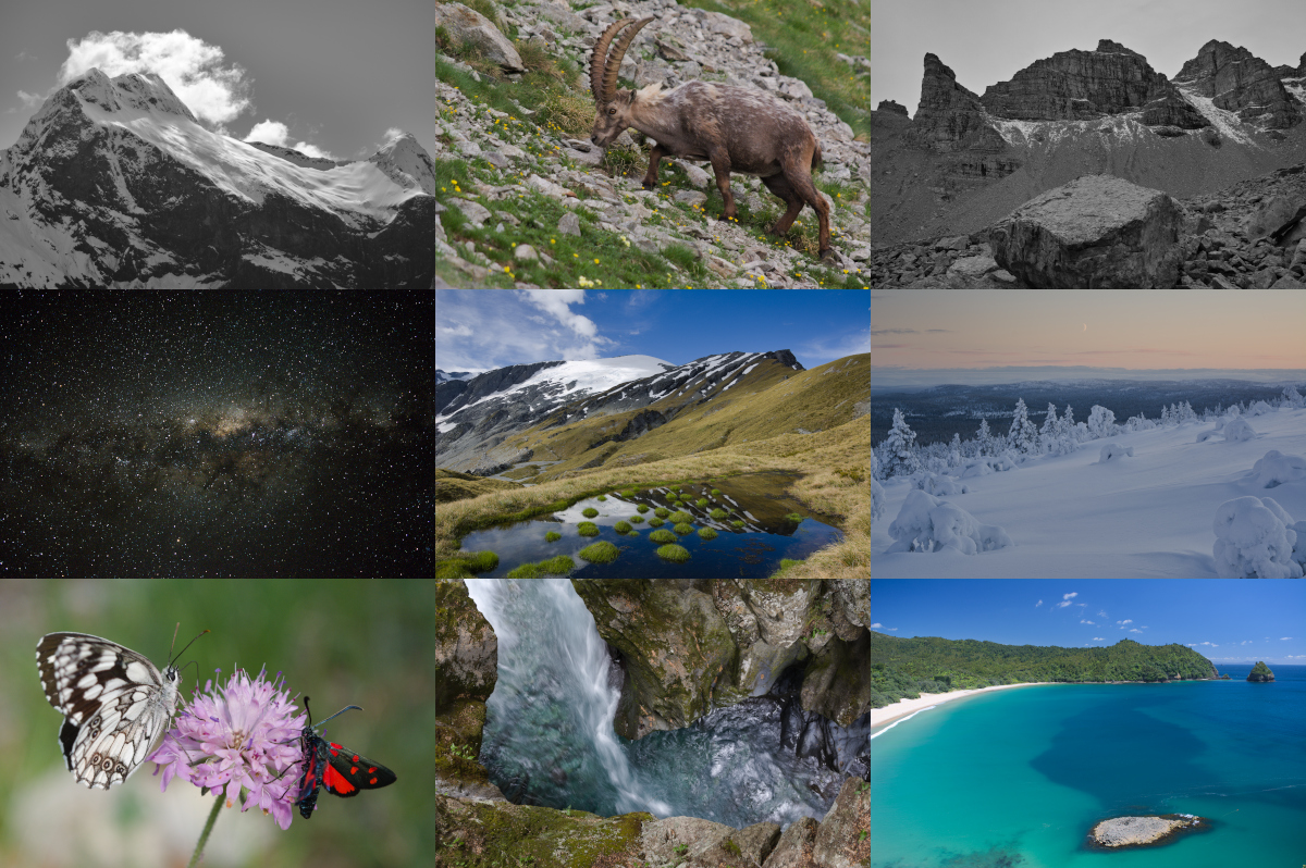 FI for ExploreWilder