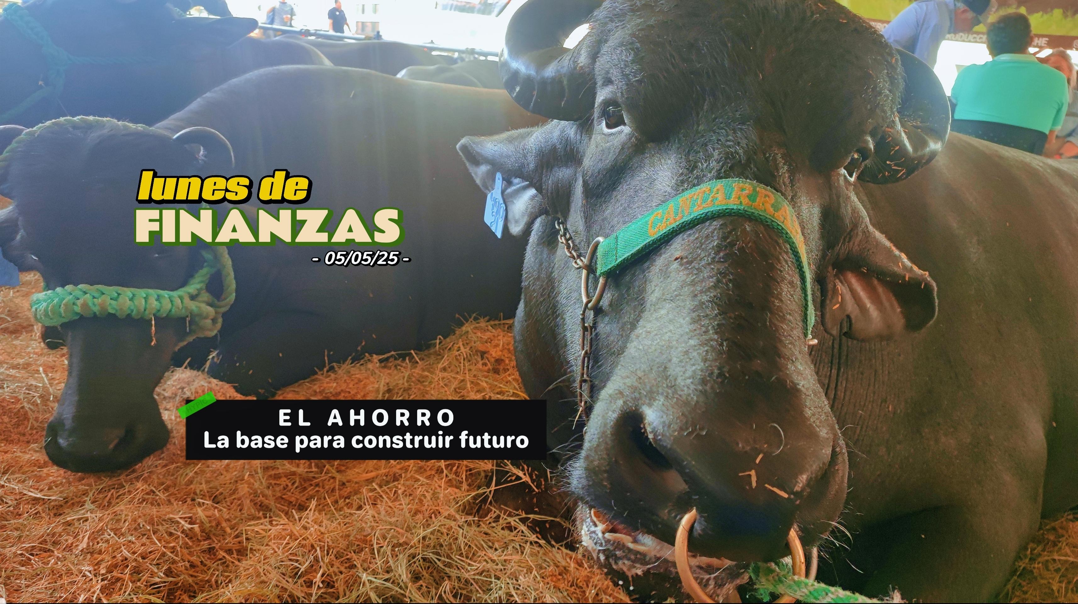 Ahorra con propósito: cómo construir paz financiera desde hoy | Lunes de Finanzas #007