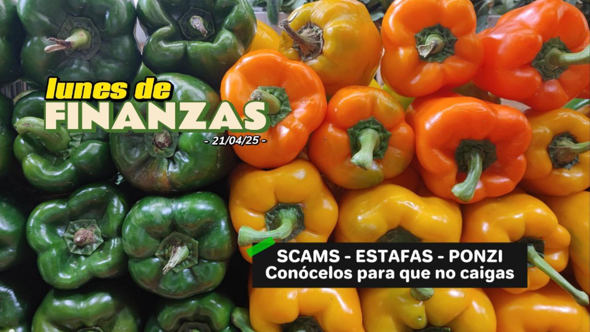 Pirámides, Ponzis y estafas en 2025: señales de alerta y cómo protegerte | Lunes de Finanzas #005