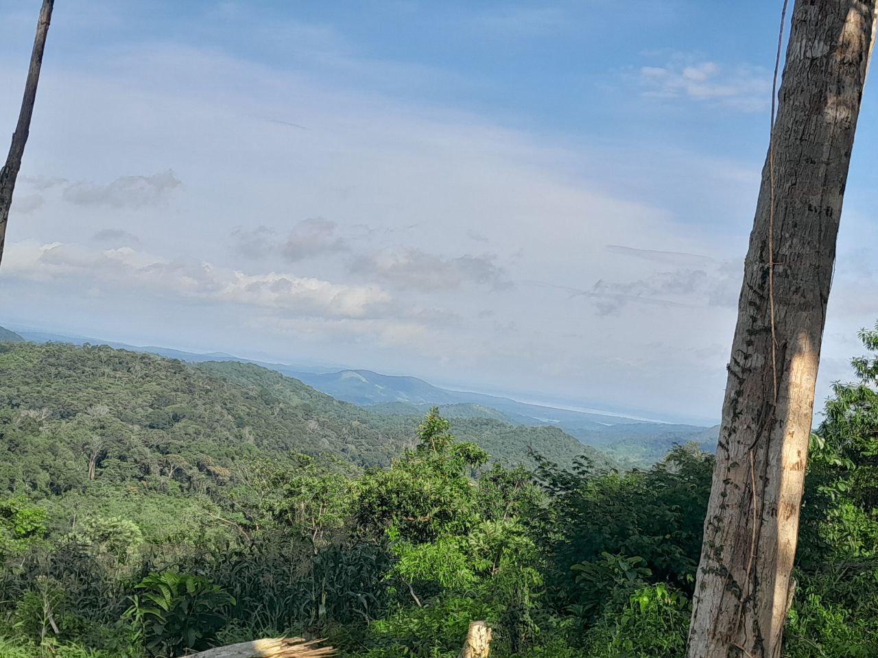 Where the Mind Finds Peace: Climbing Into the Mountain. ⛰️🌄