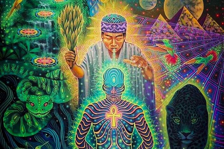 What is Ayahuasca?