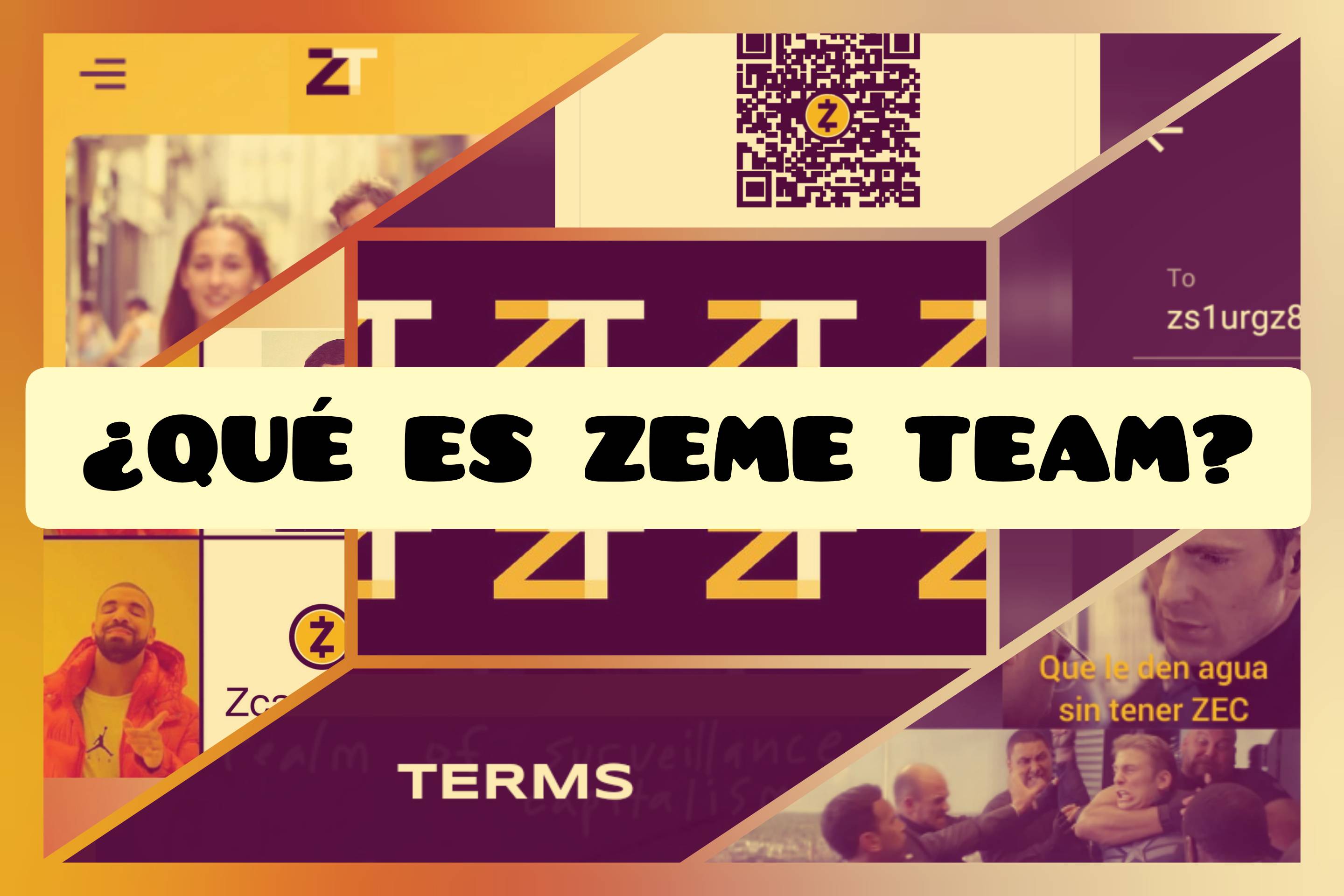 FI for ¿Qué es Zeme Team?
