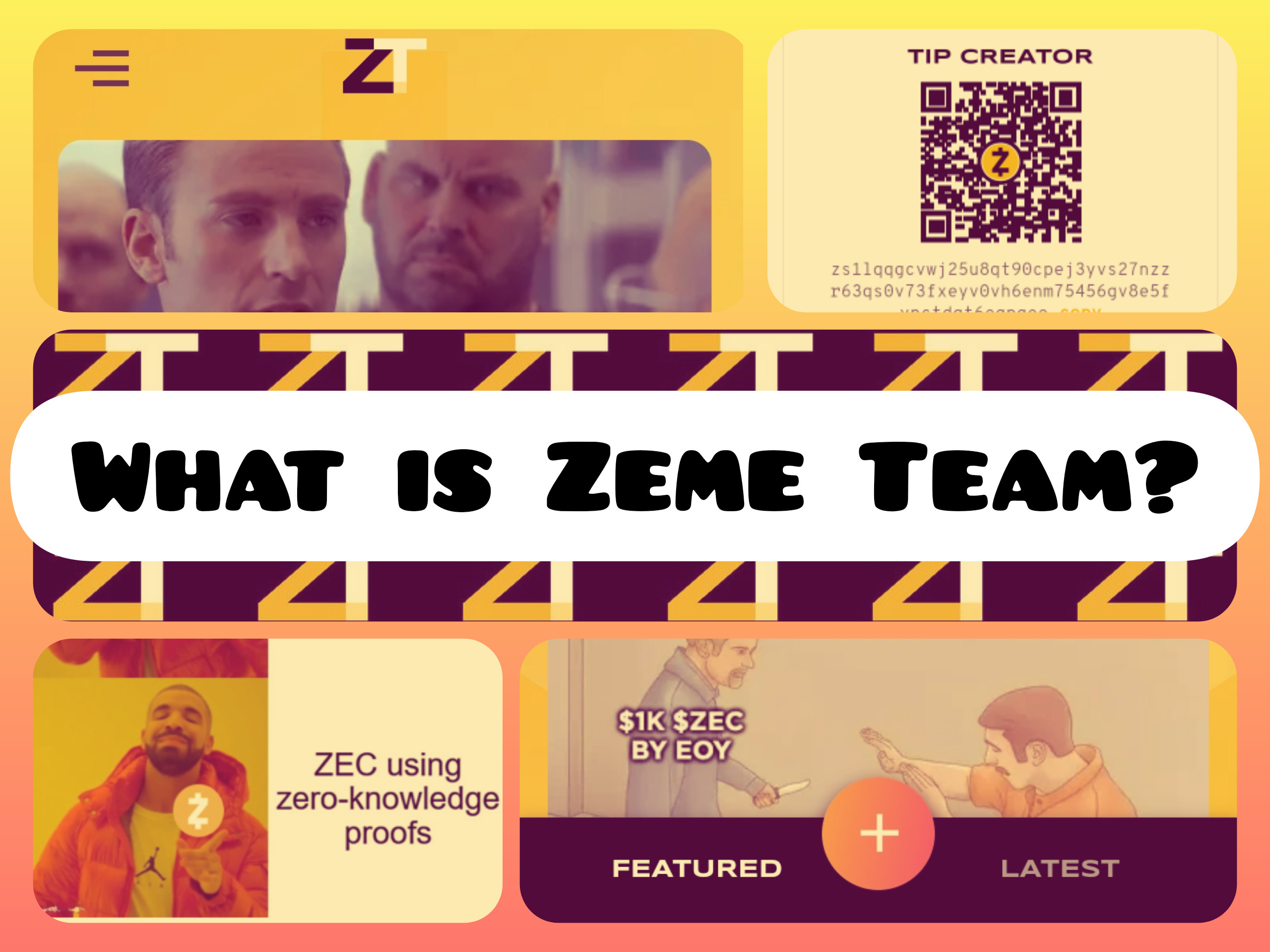 FI for What is Zeme Team?