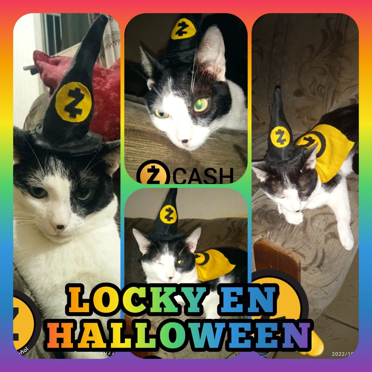 FI for LOCKY EN HALLOWEEN