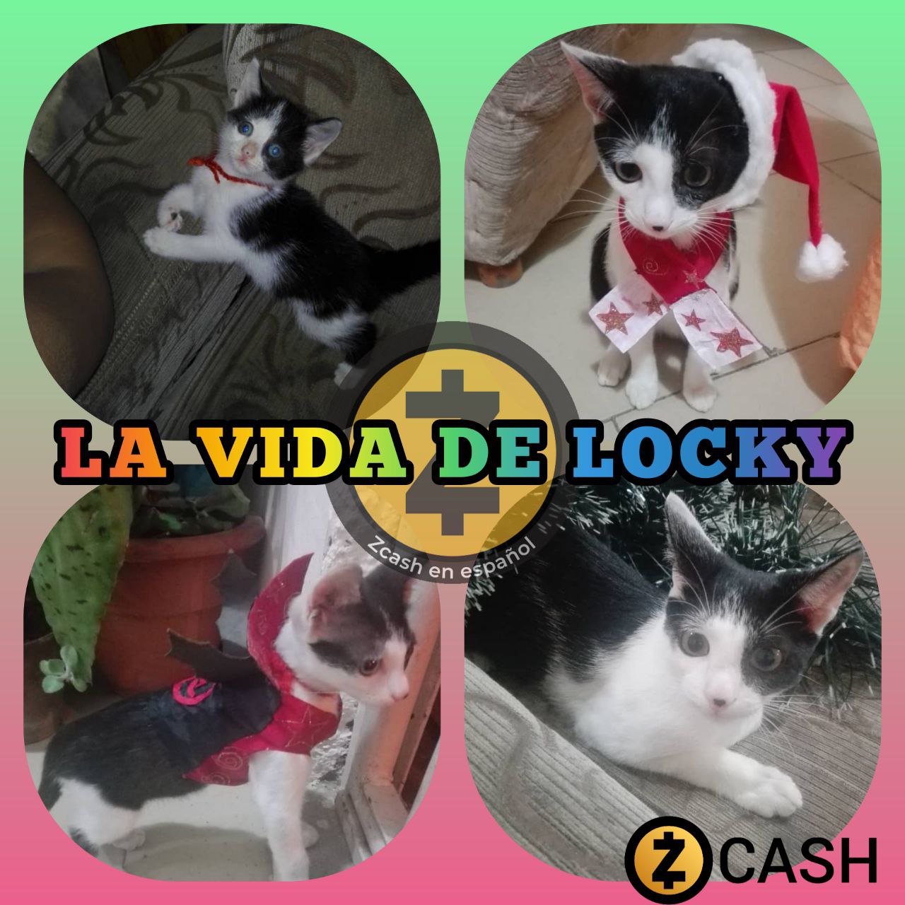 FI for La vida de locky