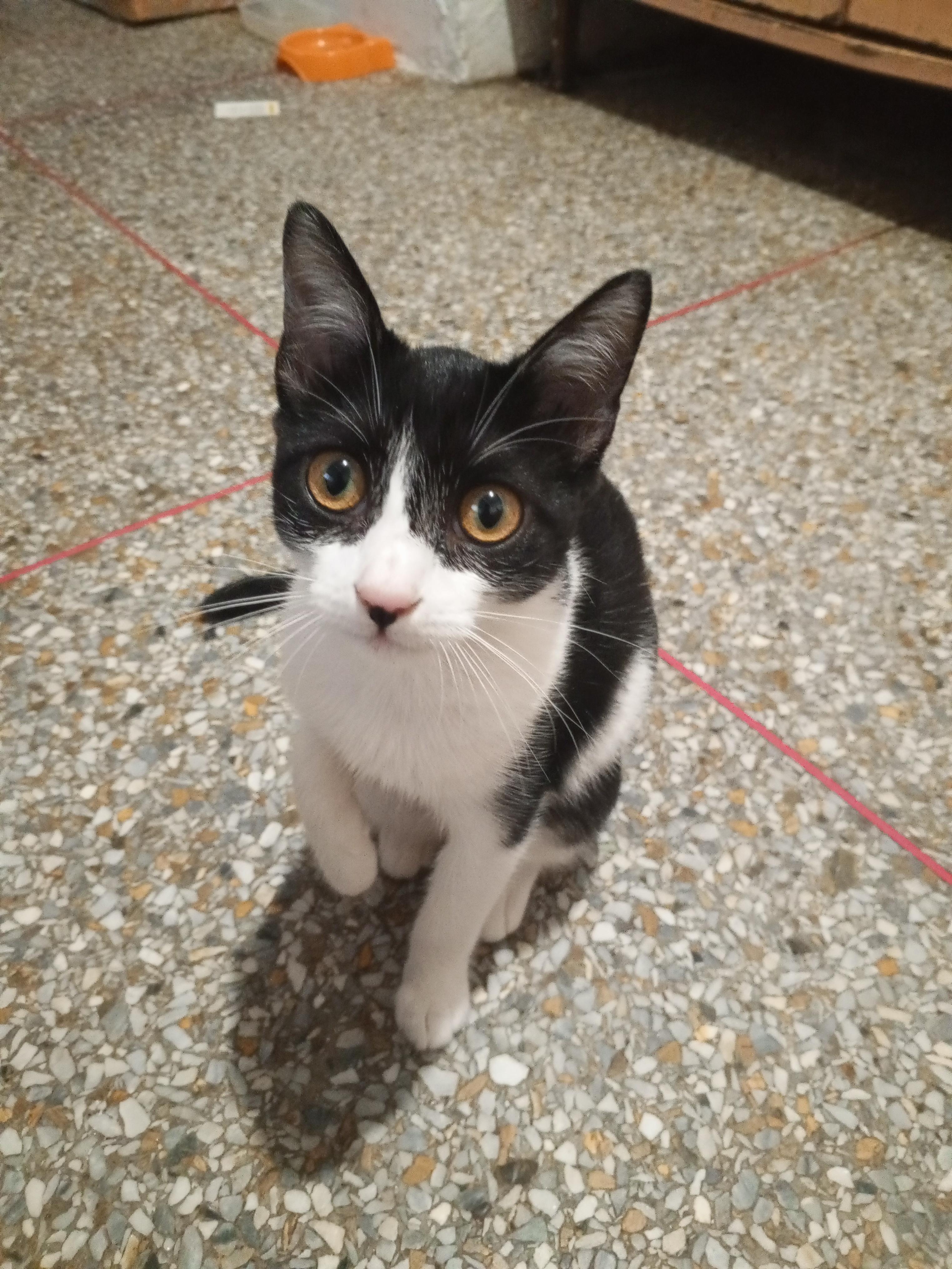 Mi experiencia con Olivia