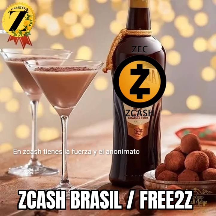 VIDEO CURTO PARA VOCÊ EMBARCAR NO FUTURO COM A ZCASH