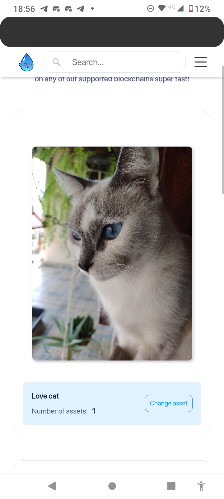 Adopt a cat I need help to continue the work of collecting abandoned kittens