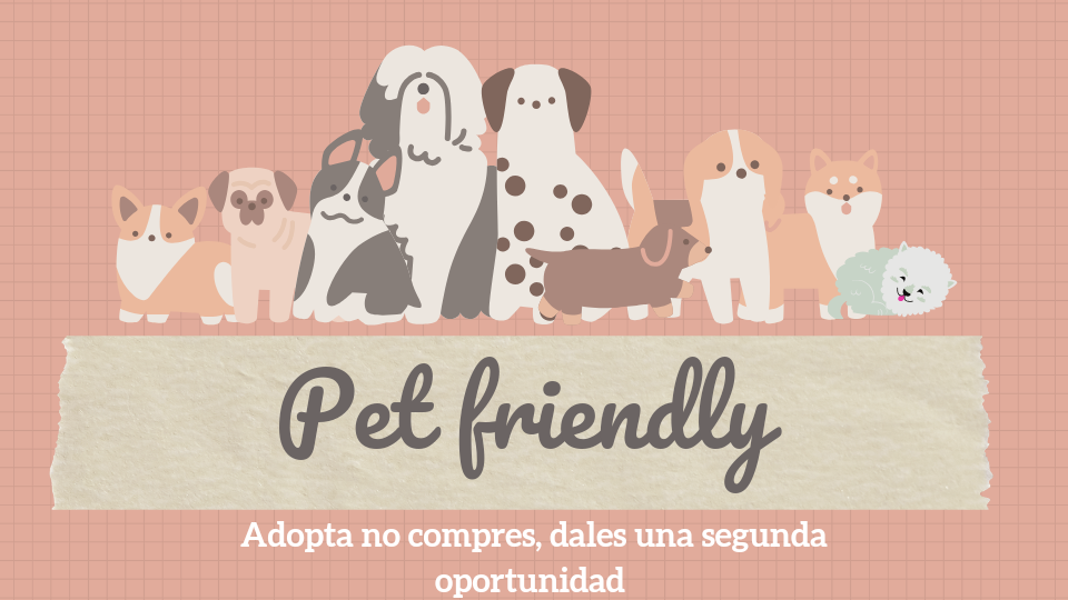 Un pequeño abre boca sobre mi proyecto