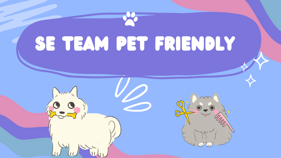 Hablemos un poco sobre pet friendly y el campamento digital generación z