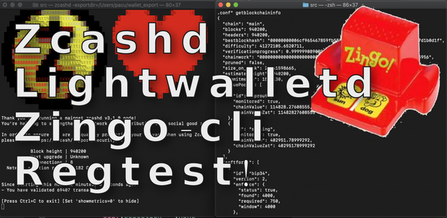 FI for Zingolib for developers: Running zingo-cli in regtest