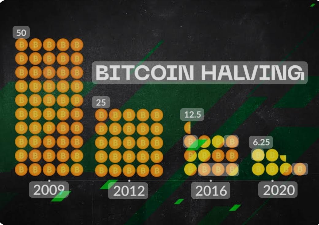 Por que o halving do Bitcoin em 2024 pode ser diferente do anterior?