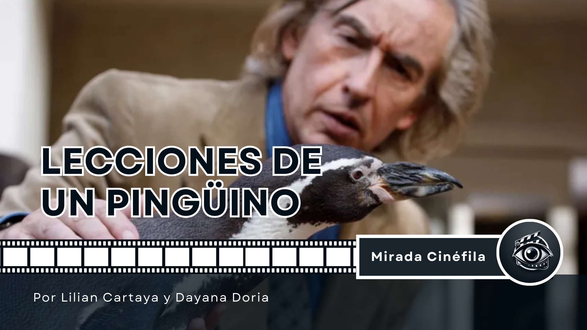 Lecciones de un pingüino