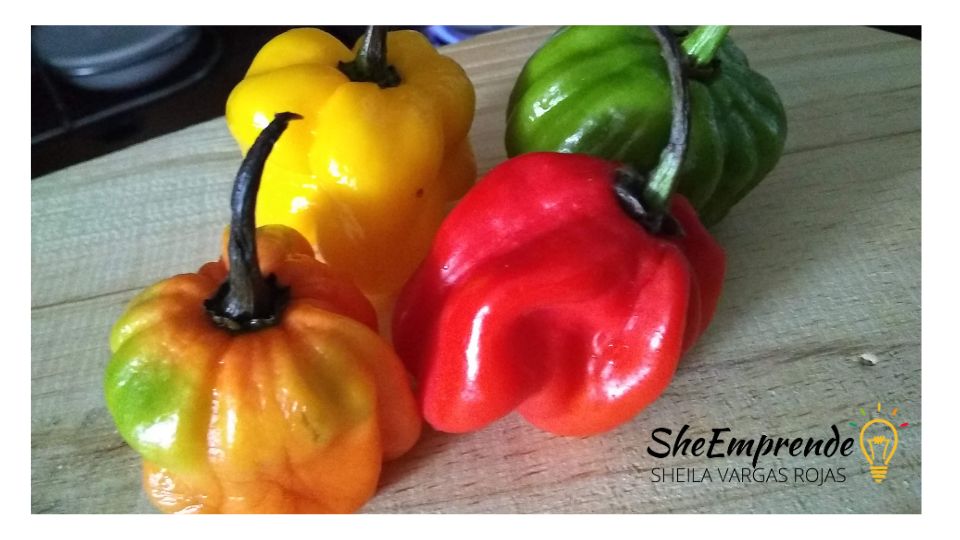 cabecera sheila secretos cocina.jpg