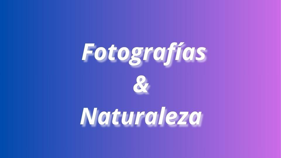 Mi proyecto