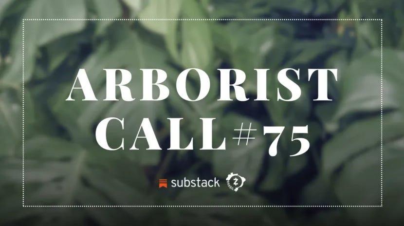 Arborist Call #75 - Atualizações de Desenvolvimento do Protocolo (18/04/2024)