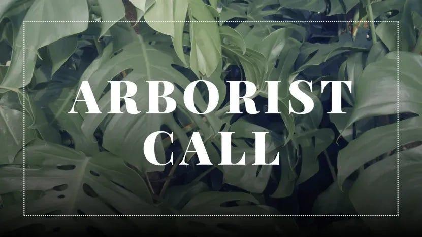 Arborist Call #69 - Atualizações Recentes do Protocolo Zcash (25/01/2024)