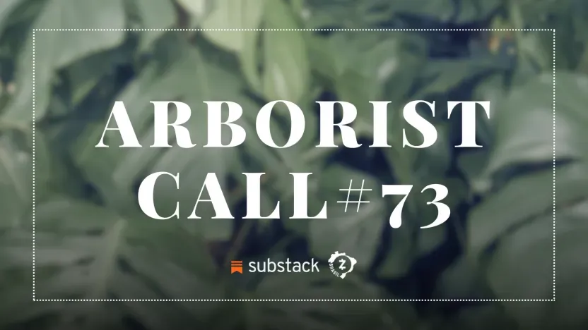 Arborist Call #74 - Atualizações do Protocolo Zcash (04/04/2024)