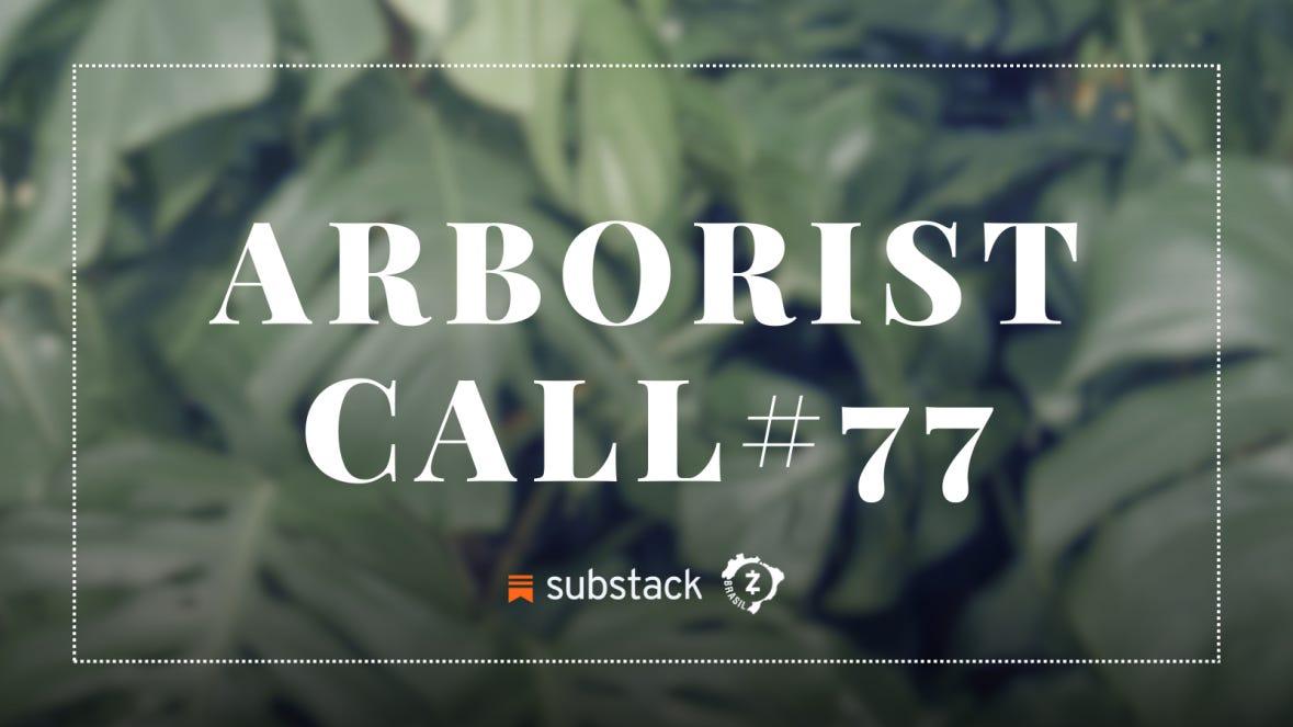 Arborist Call - Atualizações de Desenvolvimento (16/05/2024)