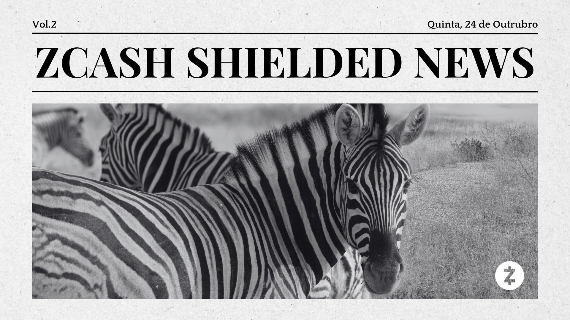 Zcash Shielded News Vol.2