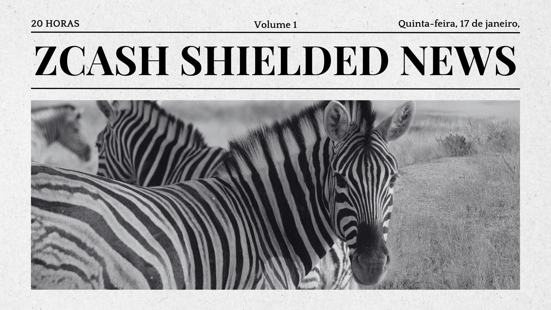 Zcash Shielded News | Volume 1
