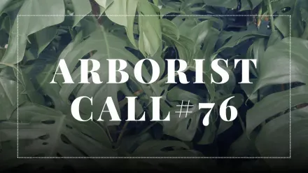 Arborist Call #76 - Atualizações de Desenvolvimento no Protocolo Zcash