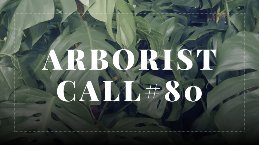 Arborist Call #80 - Atualizações de Pesquisa & Desenvolvimento do Protocolo Zcash (27/06/2024)