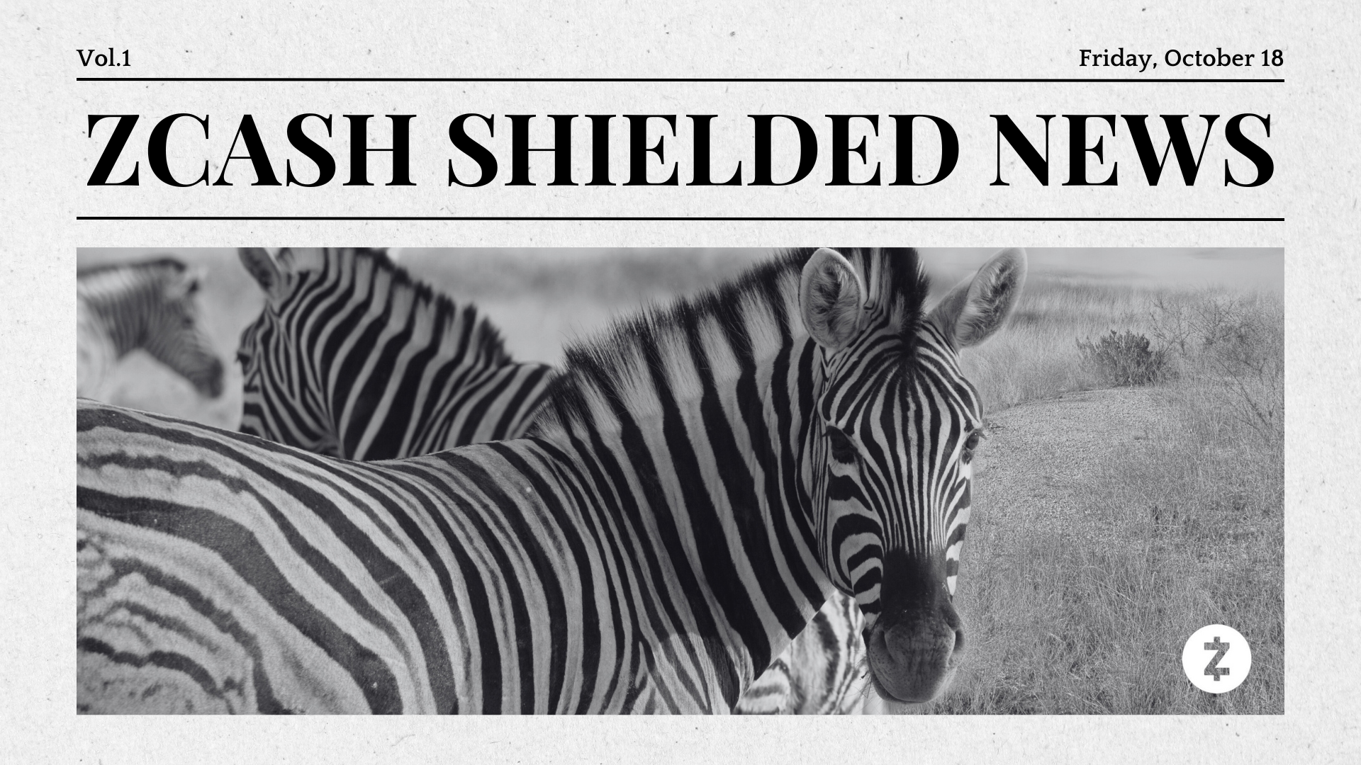 Zcash Shielded News | Vol. 1