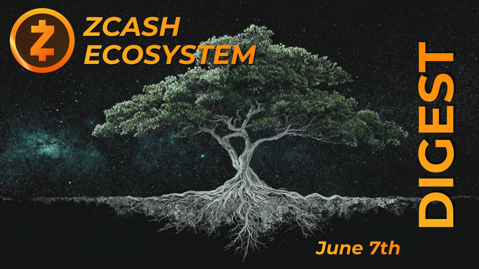 Zcash Ecosystem Digest | June 7th