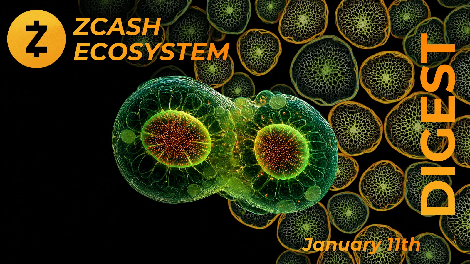 Zcash Ecosystem Digest | January 11th