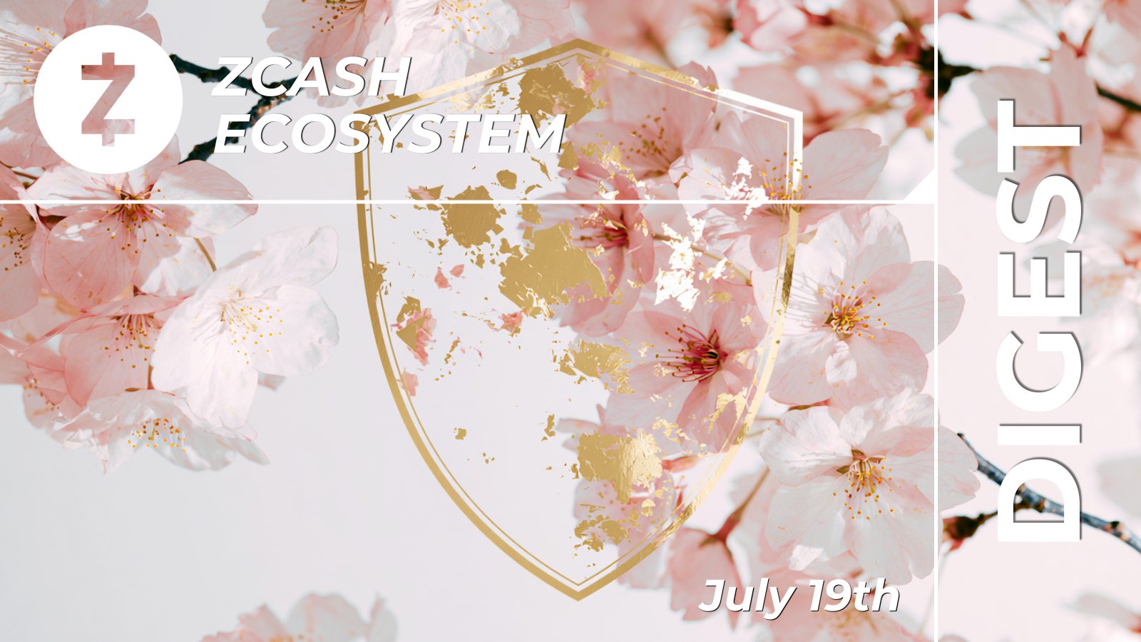 Zcash Ecosystem Digest | July 19th