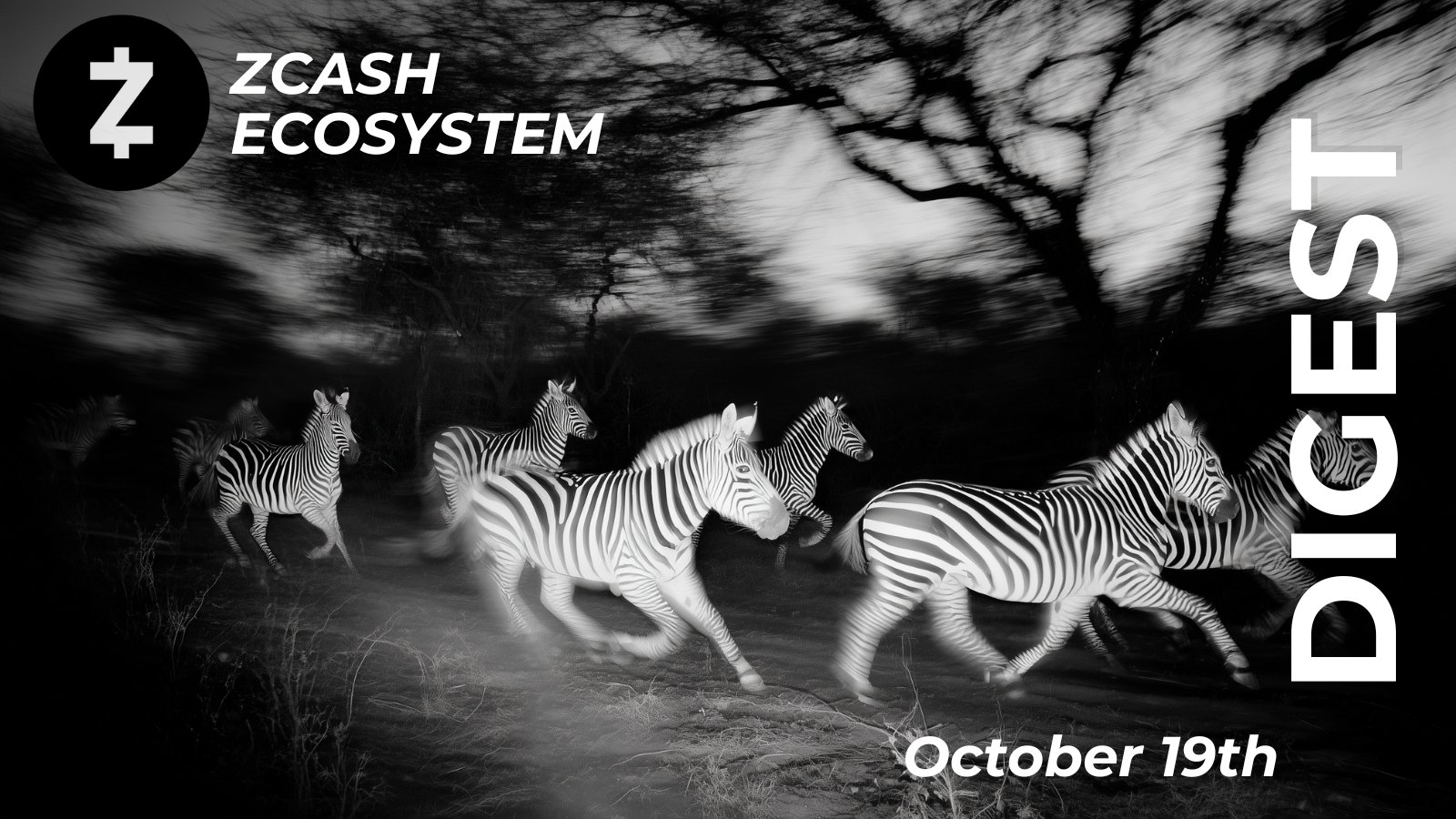 Zcash Ecosystem Digest | October 19th
