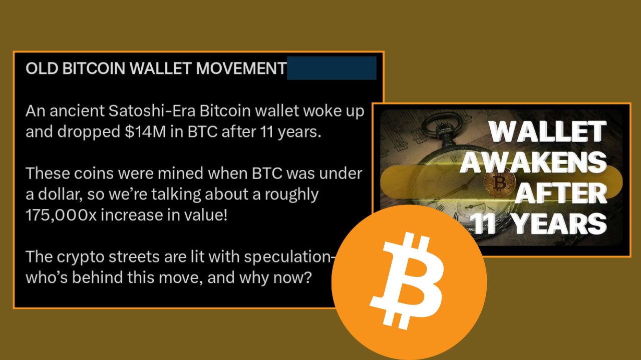 HODLing Like a Boss: Satoshi-Era Bitcoin Holder Cashes Out $14 Million!