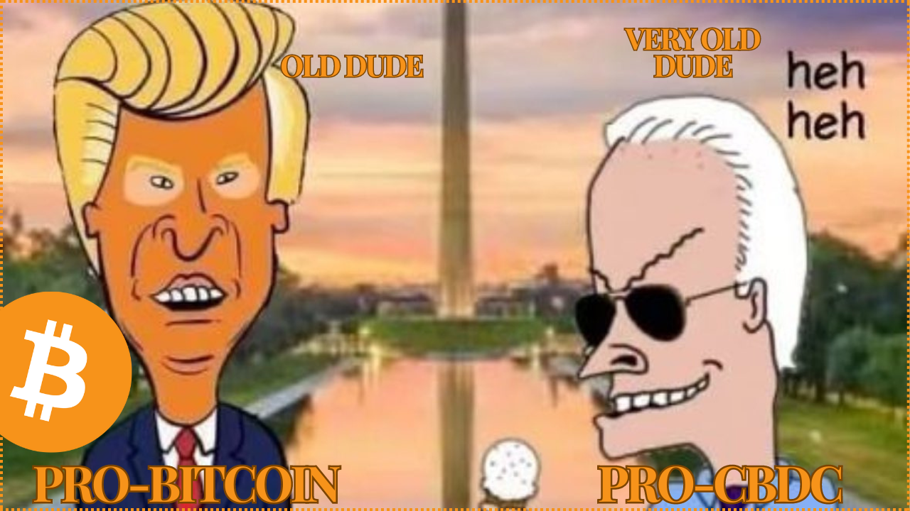 Bitcoin Battle: How Cryptocurrency Could Decide the 2024 Election In My Perspective