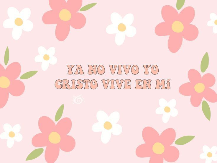 Mi Historia