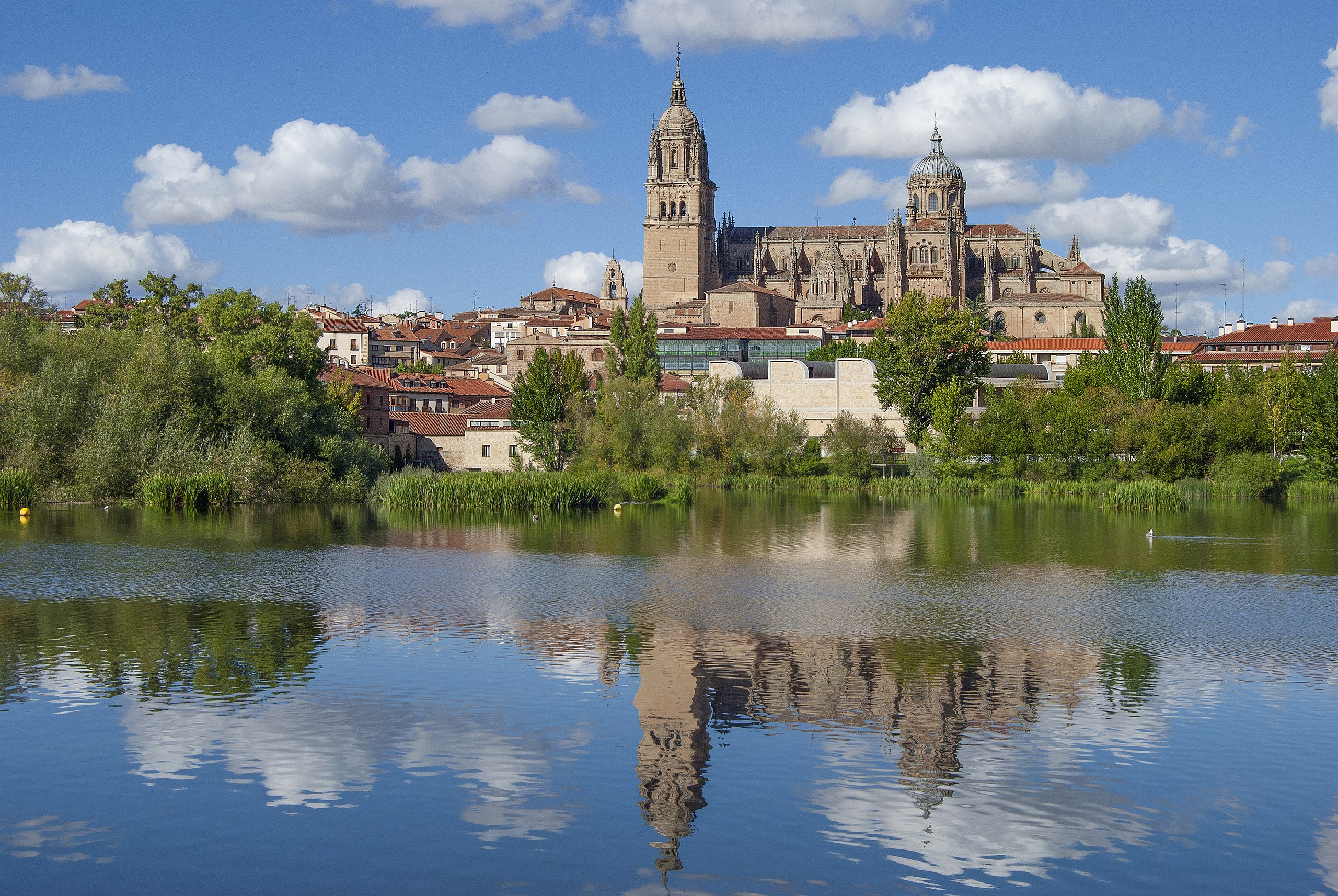 Cool stuff in Salamanca