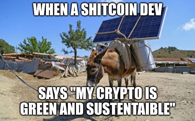 Shitcoin devs be like