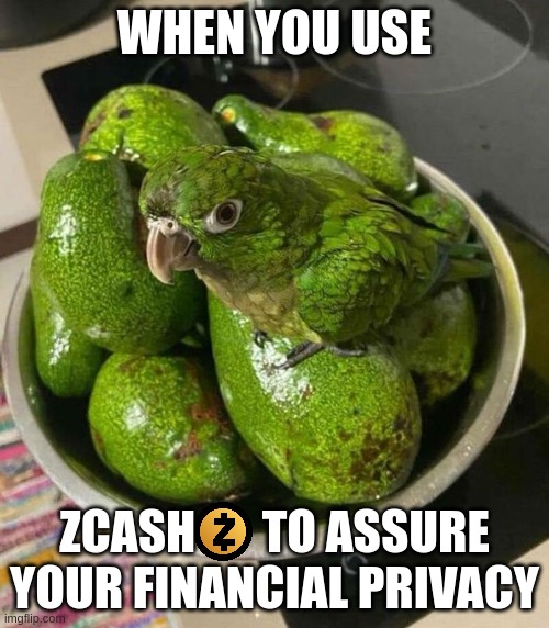ZCash: a good option for your privacy