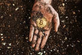 Por que plantar en Zcash?