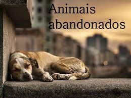 Manifesto pela Proteção dos Animais abandonados
