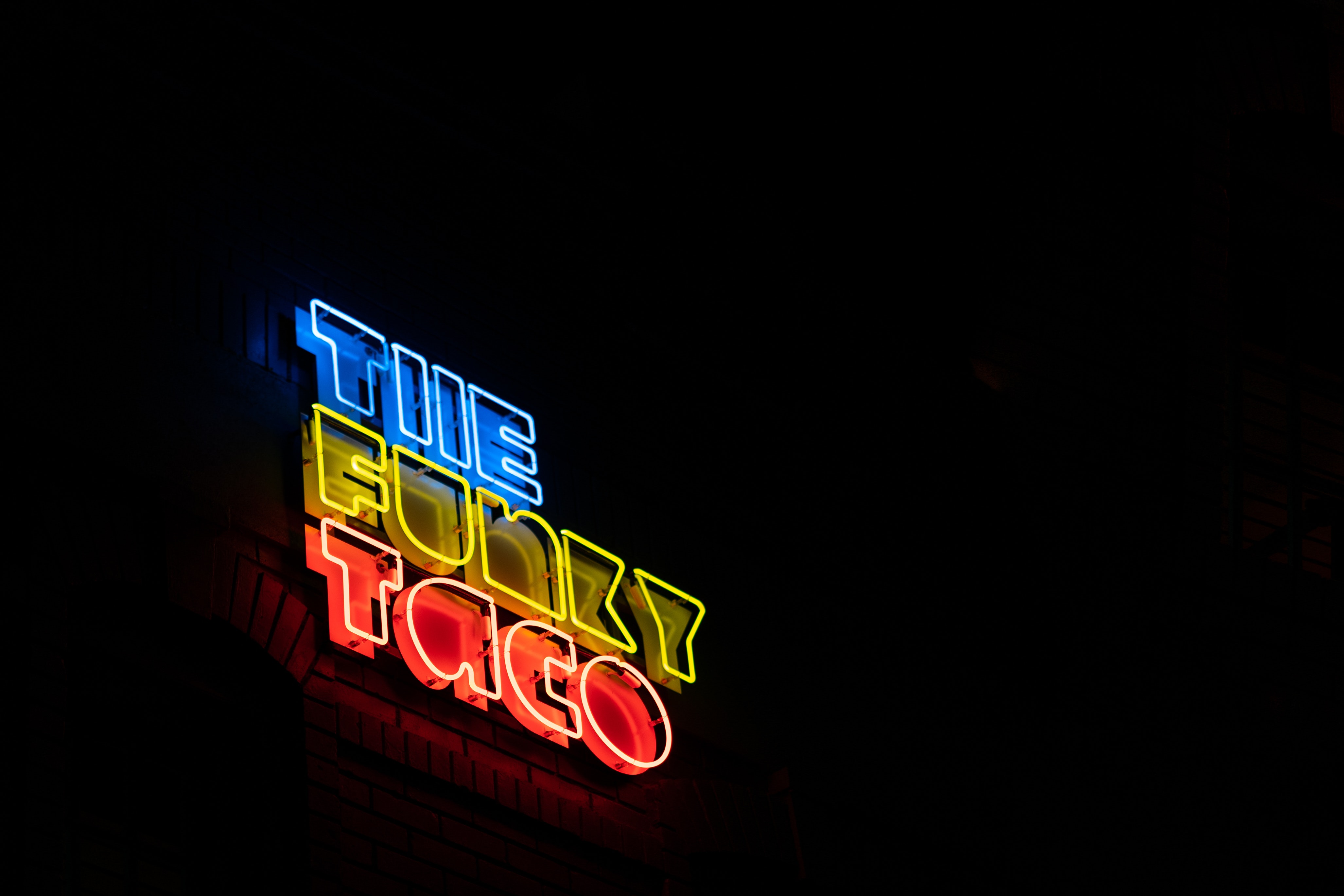 Taco Lover