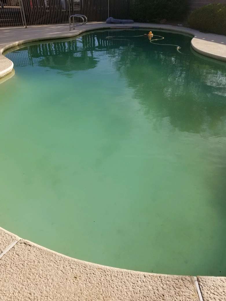 FI for Una piscina llena de promesas vacías