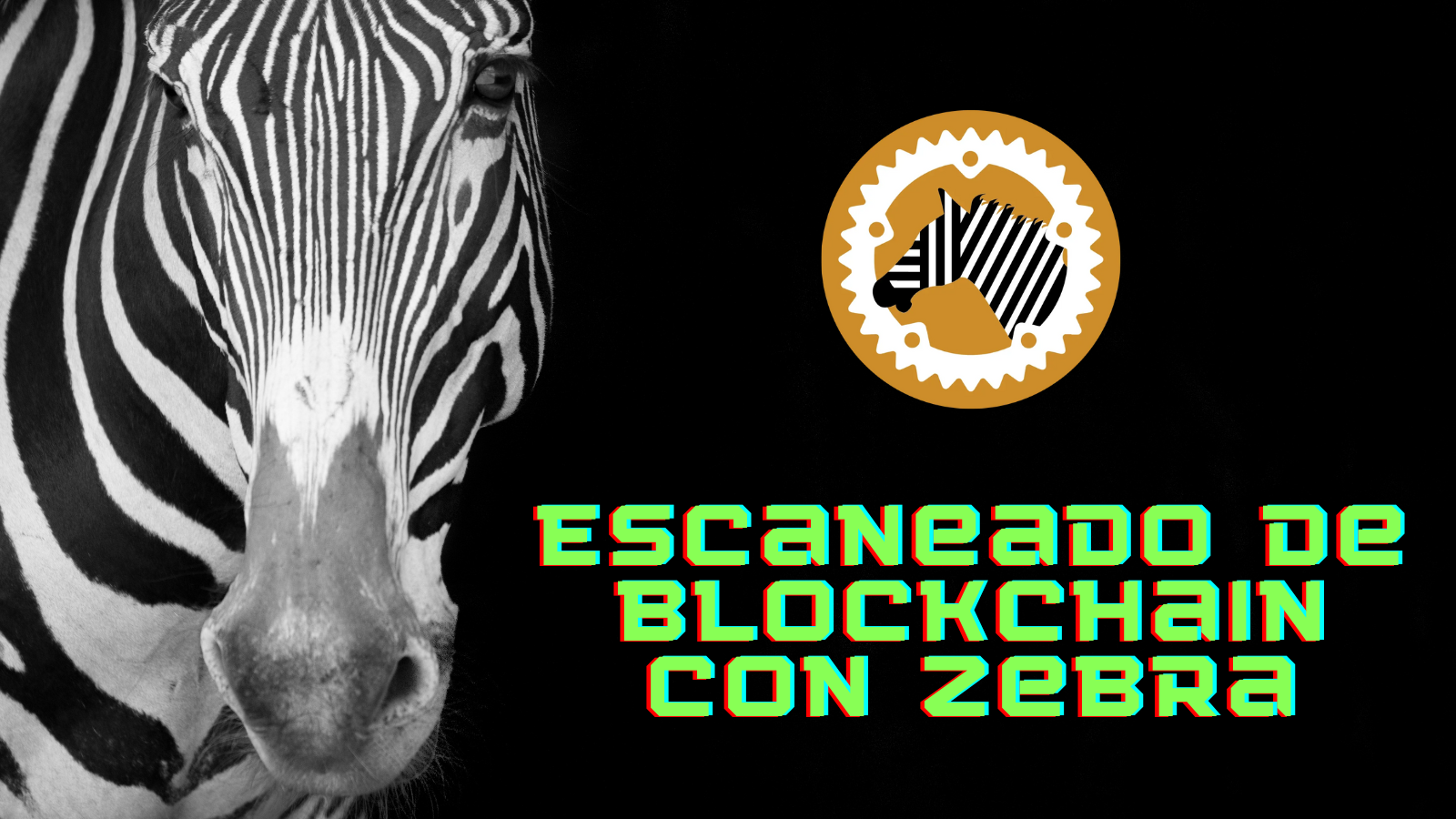 Presentamos el escaneado de Blockchain con Zebra