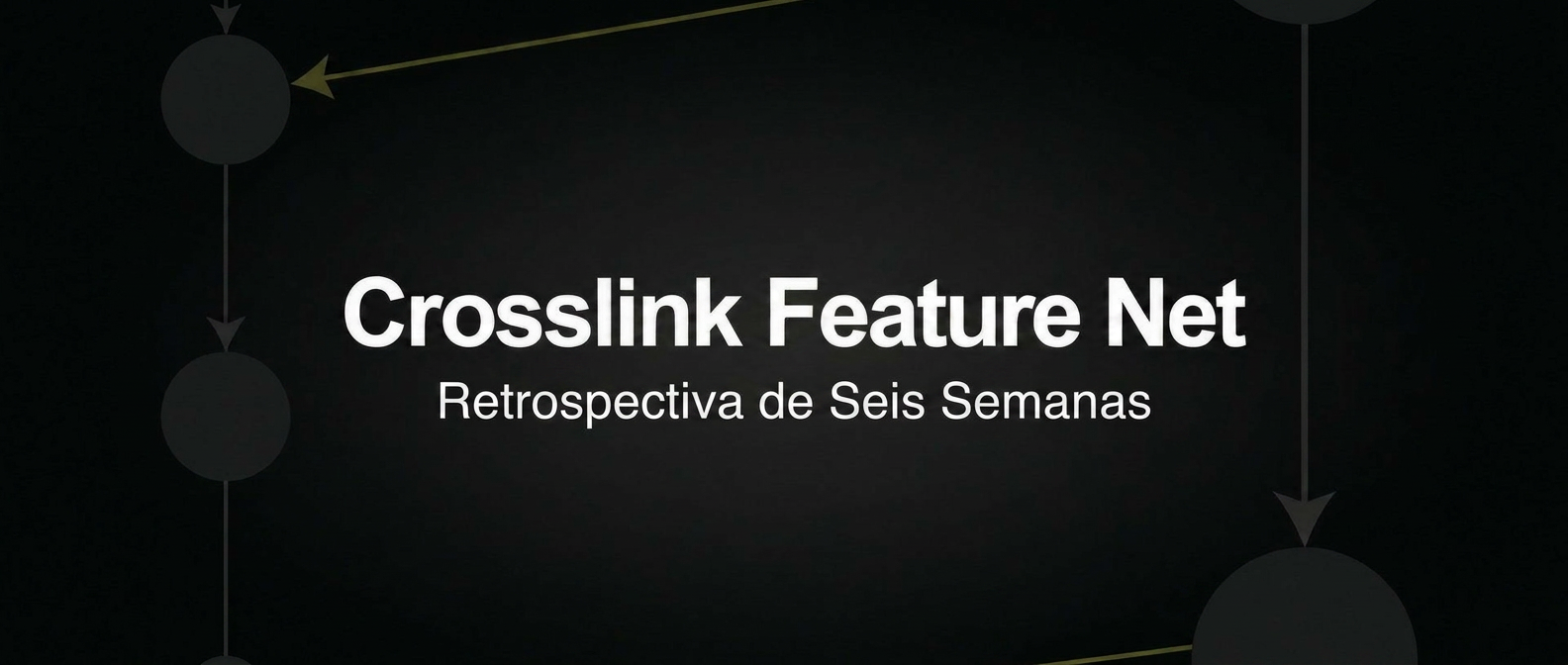 Red de Características de Crosslink: Reflexiones sobre las Primeras Seis Semanas