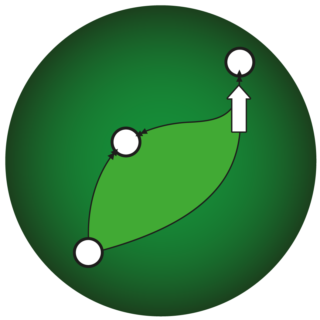 ZingoLabs